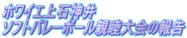 zCGΐ_ \tgo[{[er̕ 
